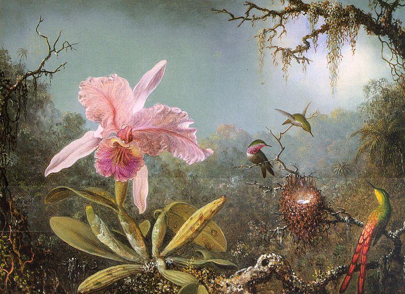 Martin Johnson Heade Cattleya Orchid Three Brazilian Hummingbirds